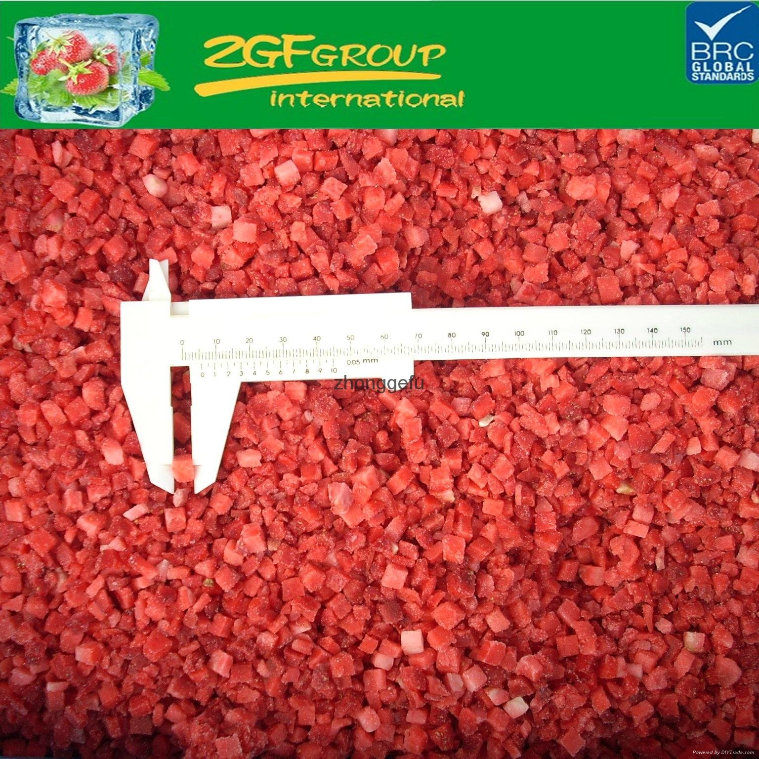 Cheap price Good Quality frozen strawberry whole sale 4