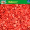 Cheap price Good Quality frozen strawberry whole sale 5