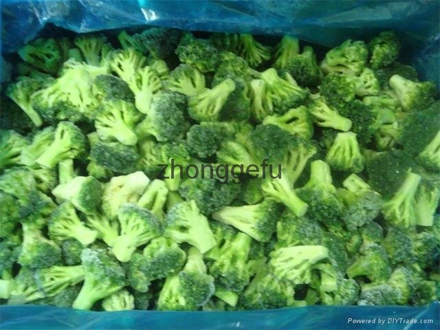 IQF Grade A green frozen broccoli spears cheap price