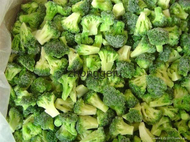 IQF Grade A green frozen broccoli spears cheap price 2