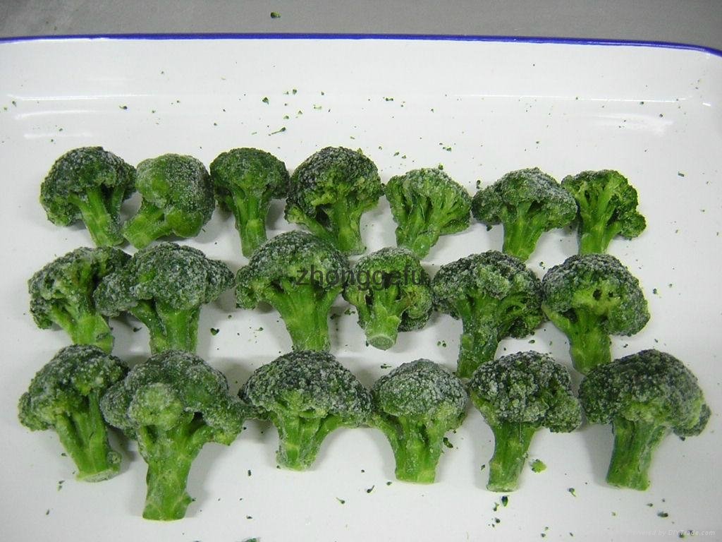 IQF Grade A green frozen broccoli spears cheap price 4