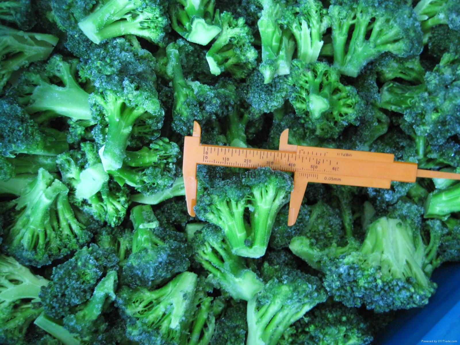 IQF Grade A green frozen broccoli spears cheap price 5