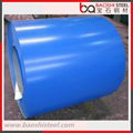 Ral5015 Prepainted Galvanized Steel Coils 4