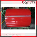 Prepainted Cold Rolled Steel Coil for Building Materials