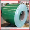 Prepainted Cold Rolled Steel Coil for Building Materials 5
