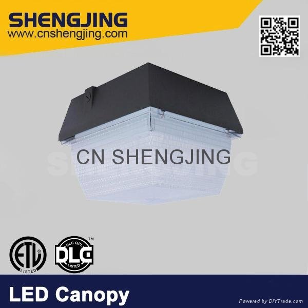 LED Canopy Ceiling Canopy for Gas Station