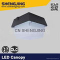LED Canopy Ceiling Canopy for Gas