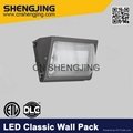 LED Wall Pack for Commercial Industrial Security Light Fittings 2