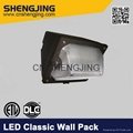 LED Wall Pack for Commercial Industrial Security Light Fittings 3
