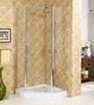 Semi framed NEO shower room door shower
