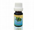 NIBO-XIANGFEI ESSENTIAL OIL 1