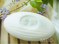 NIBO-Torreya oil soap 4