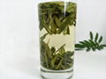 Chinese Premium non-fermented XiHuLongJing Green Tea 4