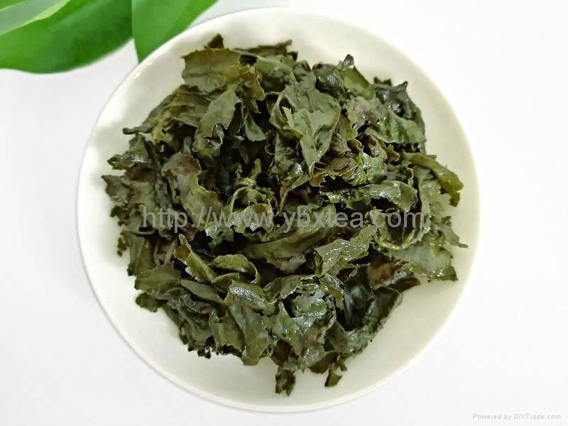 Chinese PremiumTieKuan Yin Oolong tea (Roasted Type) 5