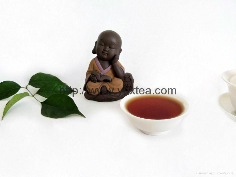 Chinese Premium WuYiShan Mount semi-fermented Rou Gui Oolong tea 4