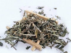 Chinese Premium non-fermented White Tea BaiMuDan White Poeny