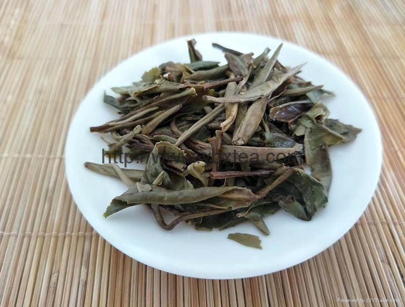 Chinese Premium non-fermented White Tea BaiMuDan White Poeny 5