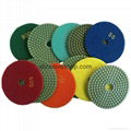 4 Inch Diamond Wet Polishing Pads 1