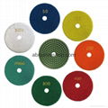 4 Inch Diamond Wet Polishing Pads 3