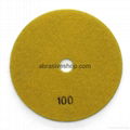 Wholesale Wet Dry Polishing Pads