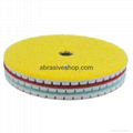 4" Dry Diamond 3 Step Stone Polishing Pads 5