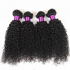 Double Drawn Natural Color Virgin Indian Kinky Curly Human Hair