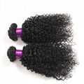 Double Drawn Natural Color Virgin Indian Kinky Curly Human Hair 3