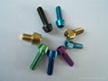 sell titanium screw