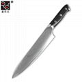 Amazon 8inch Ktchen Chef Knife VG10