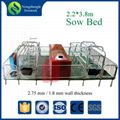 Hot dip galvanized farrowing stall for pig farrowing sow cages 1