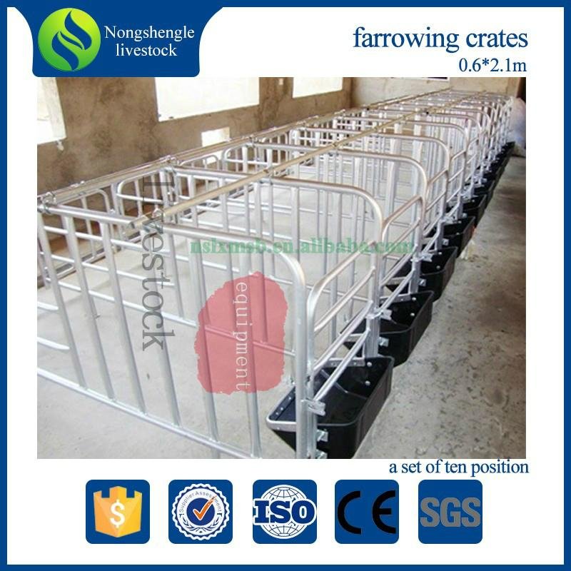 pig raising equipment adjustable gestation crate for sows