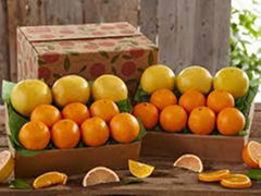 FRESH  NAVEL ORANGE