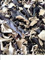 dried black fungus 2