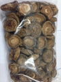 edible dried shiitake mushroom 4