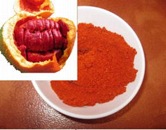 MOMORDICA COCHINCHINENSIS POWDER