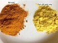 Organic curcumin turmeric powder origin
