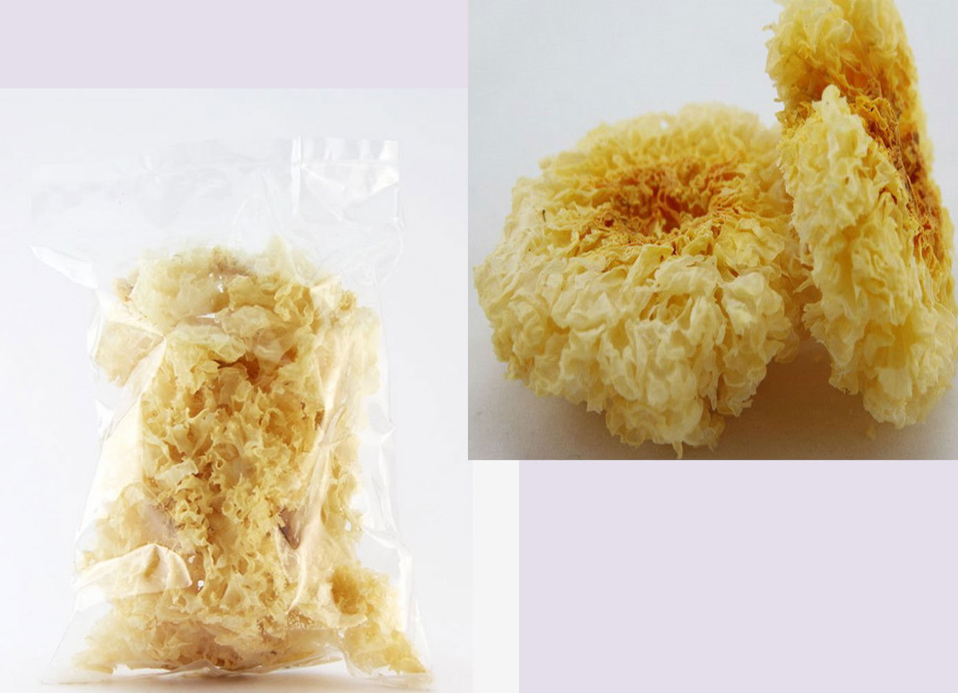 Dried snow mushroom from Viet Nam 2