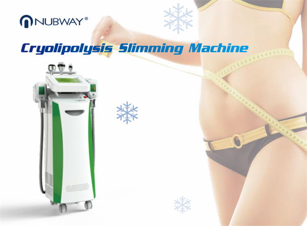 Slimming Machine Ultrasonic Cavitation cryopolysis