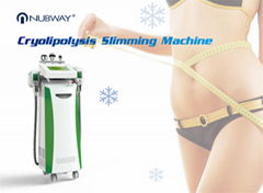 Slimming Machine Ultrasonic Cavitation cryopolysis