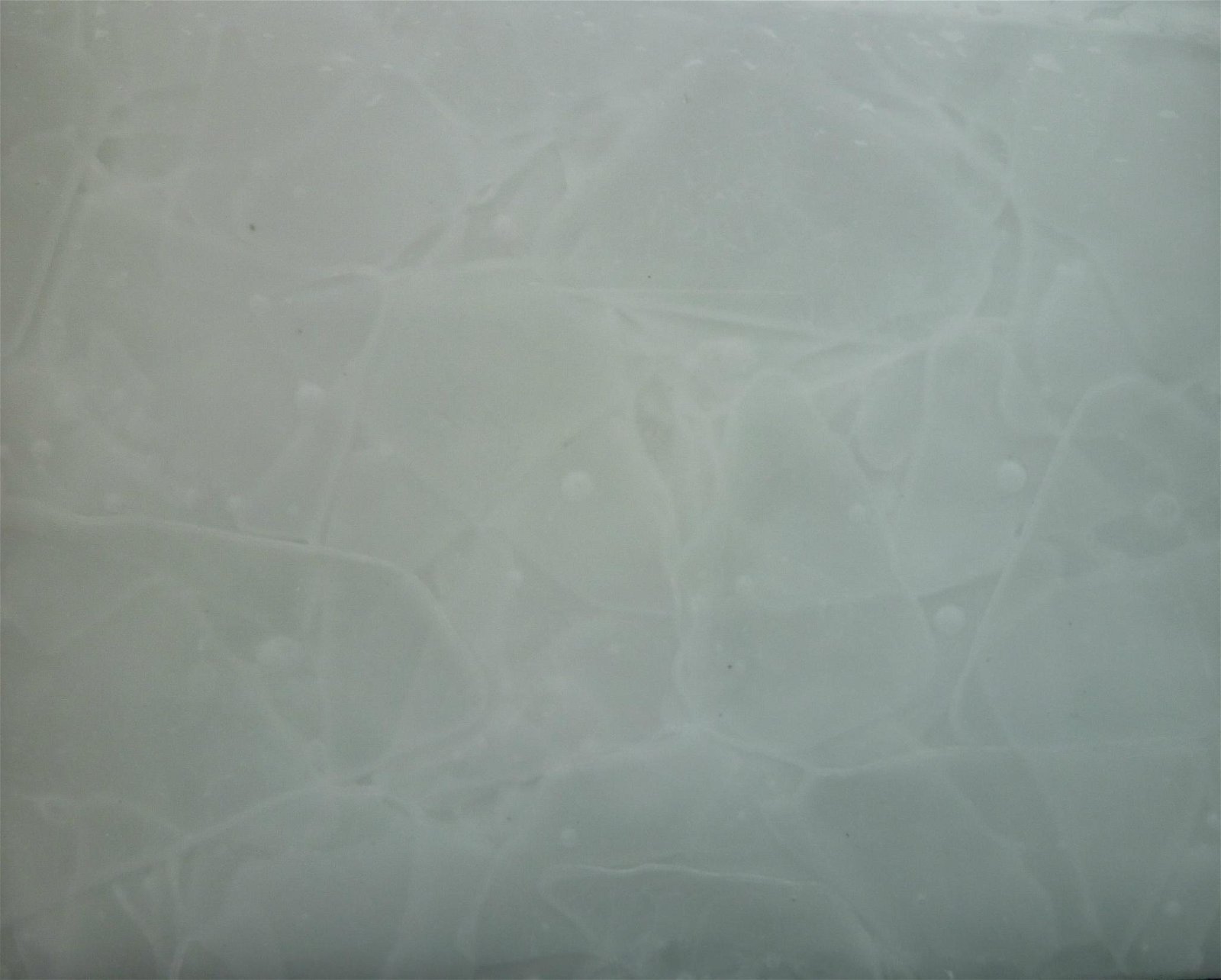 full body Crystallized Glass Panel 2