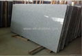  Cheap G603 Granite Big Slab Natural Stone 2