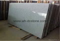 Chinese G603 Granite Big Slab Polished Natural Stone  1