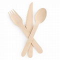 woodencutlery