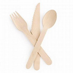 woodencutlery