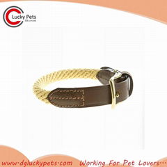 New Style Eco-friendly Rope Dog Collar