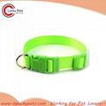 Plain Pet Nylon Collar For Puppy Dogs 2