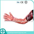 Veterinary artificial cattle insemination gloves manufacturer of China 1