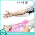 Veterinary artificial cattle insemination gloves manufacturer of China 3