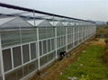 polycarbonate greenhouse good price&high quality  1