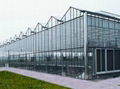 Glass greenhouse good quality for sale  1